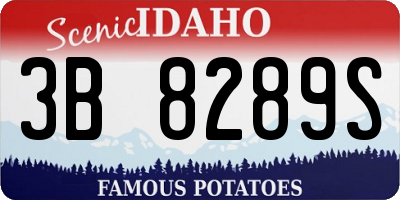 ID license plate 3B8289S