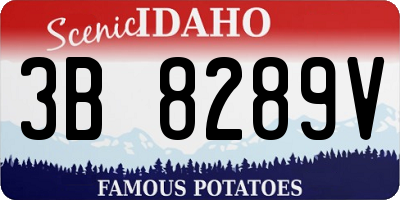 ID license plate 3B8289V