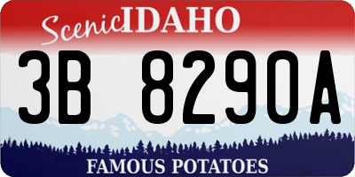 ID license plate 3B8290A