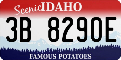 ID license plate 3B8290E