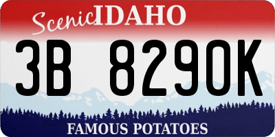 ID license plate 3B8290K