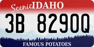 ID license plate 3B8290Q