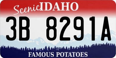 ID license plate 3B8291A