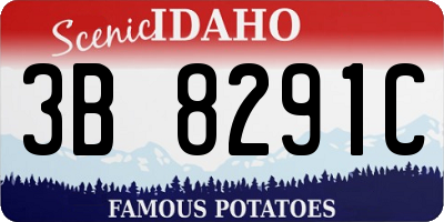 ID license plate 3B8291C