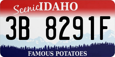 ID license plate 3B8291F