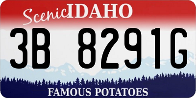 ID license plate 3B8291G