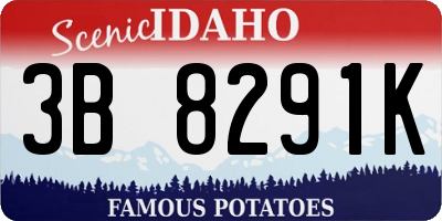 ID license plate 3B8291K