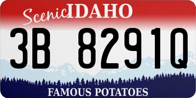 ID license plate 3B8291Q