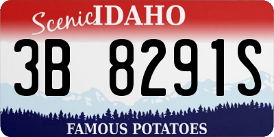 ID license plate 3B8291S