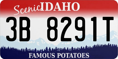 ID license plate 3B8291T