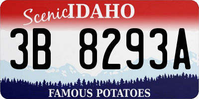 ID license plate 3B8293A
