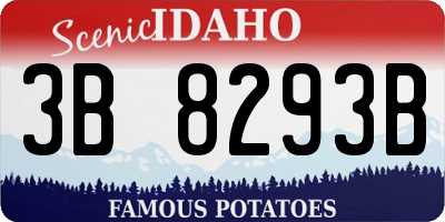 ID license plate 3B8293B