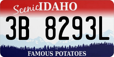 ID license plate 3B8293L