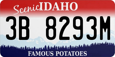 ID license plate 3B8293M