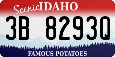ID license plate 3B8293Q