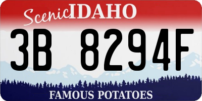 ID license plate 3B8294F