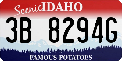 ID license plate 3B8294G