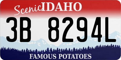 ID license plate 3B8294L