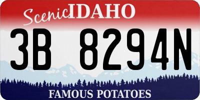 ID license plate 3B8294N