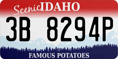ID license plate 3B8294P