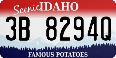 ID license plate 3B8294Q