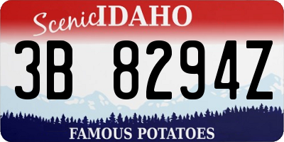 ID license plate 3B8294Z