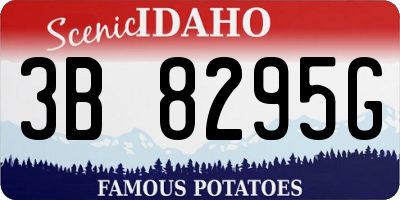ID license plate 3B8295G