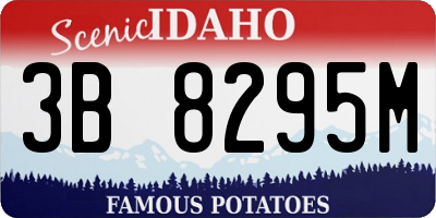 ID license plate 3B8295M