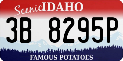 ID license plate 3B8295P