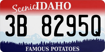 ID license plate 3B8295Q