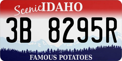 ID license plate 3B8295R