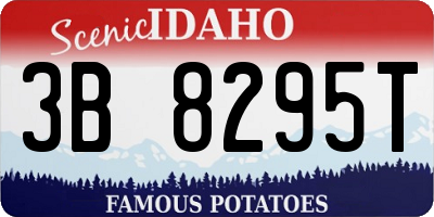 ID license plate 3B8295T