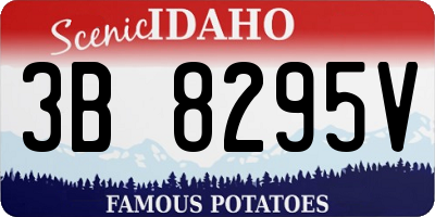 ID license plate 3B8295V