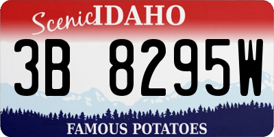 ID license plate 3B8295W