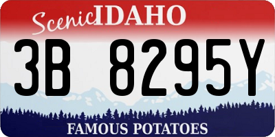 ID license plate 3B8295Y