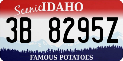 ID license plate 3B8295Z