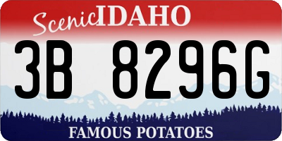 ID license plate 3B8296G