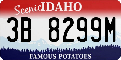 ID license plate 3B8299M