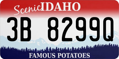 ID license plate 3B8299Q