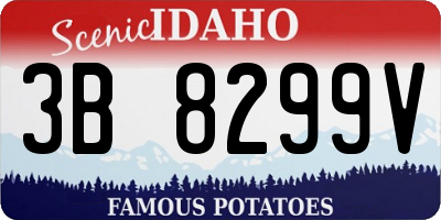 ID license plate 3B8299V