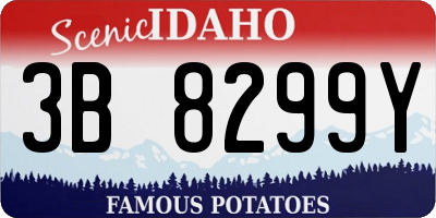 ID license plate 3B8299Y