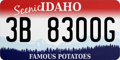 ID license plate 3B8300G