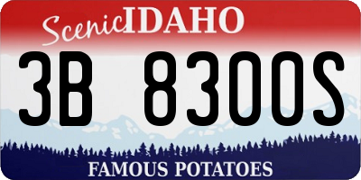 ID license plate 3B8300S
