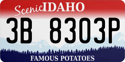 ID license plate 3B8303P