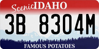 ID license plate 3B8304M