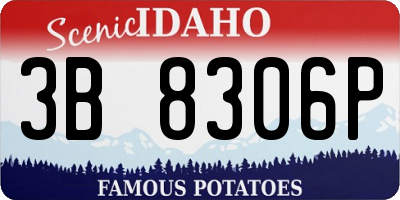 ID license plate 3B8306P