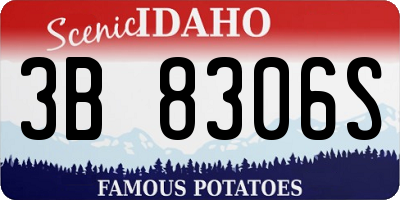 ID license plate 3B8306S