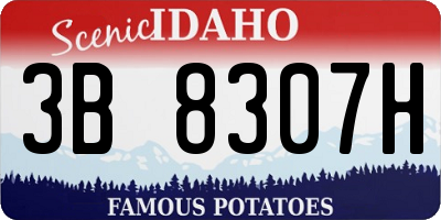 ID license plate 3B8307H