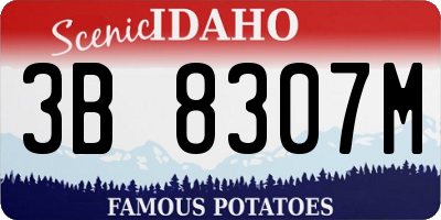 ID license plate 3B8307M