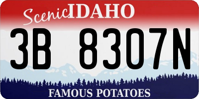ID license plate 3B8307N